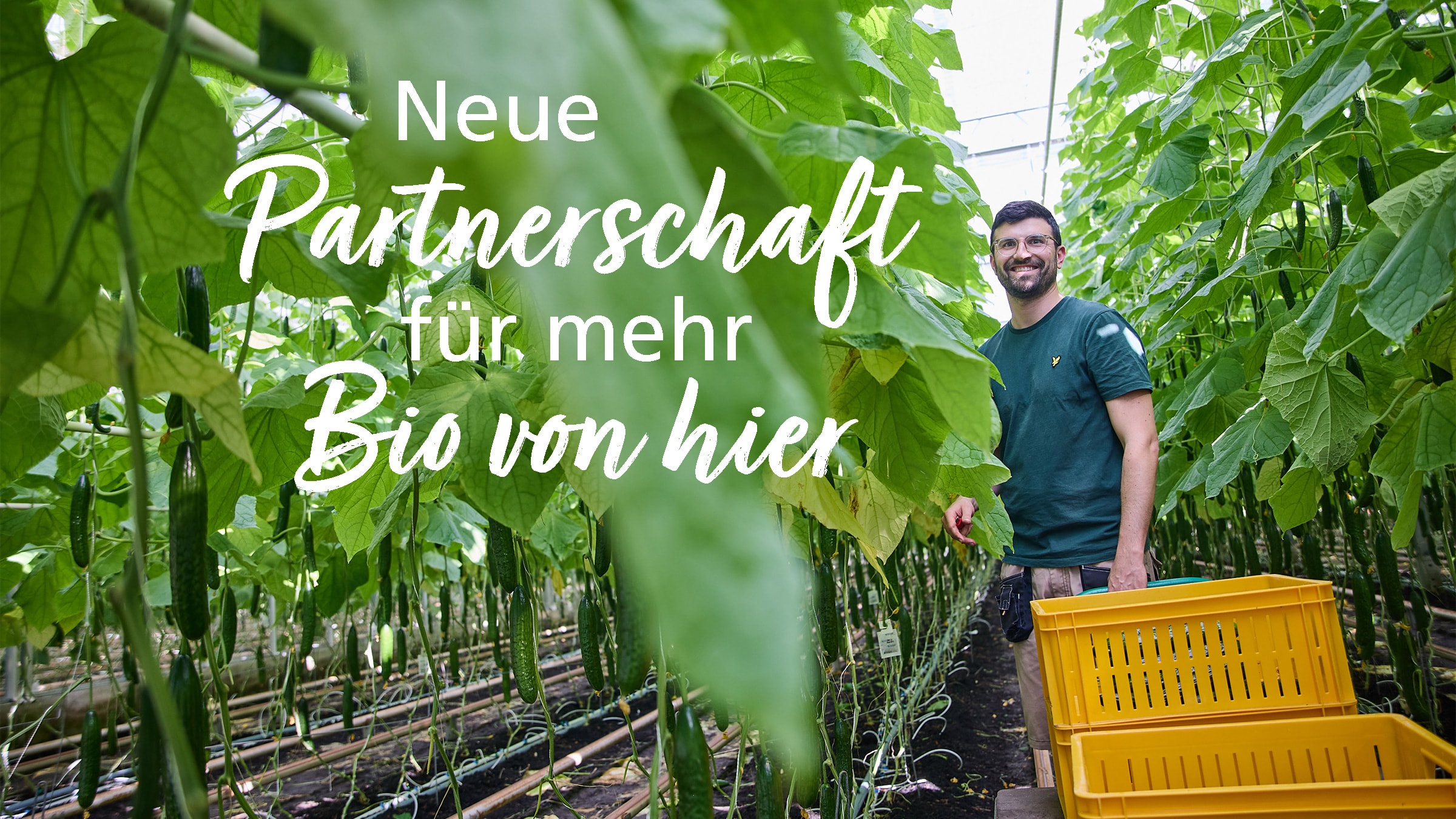 Gärtner steht in einem Gewächshaus mit Gurkenpflanzen und lächelt in die Kamera. Dazu der Text: "Neue Partnerschaft für mehr Bio von hier"