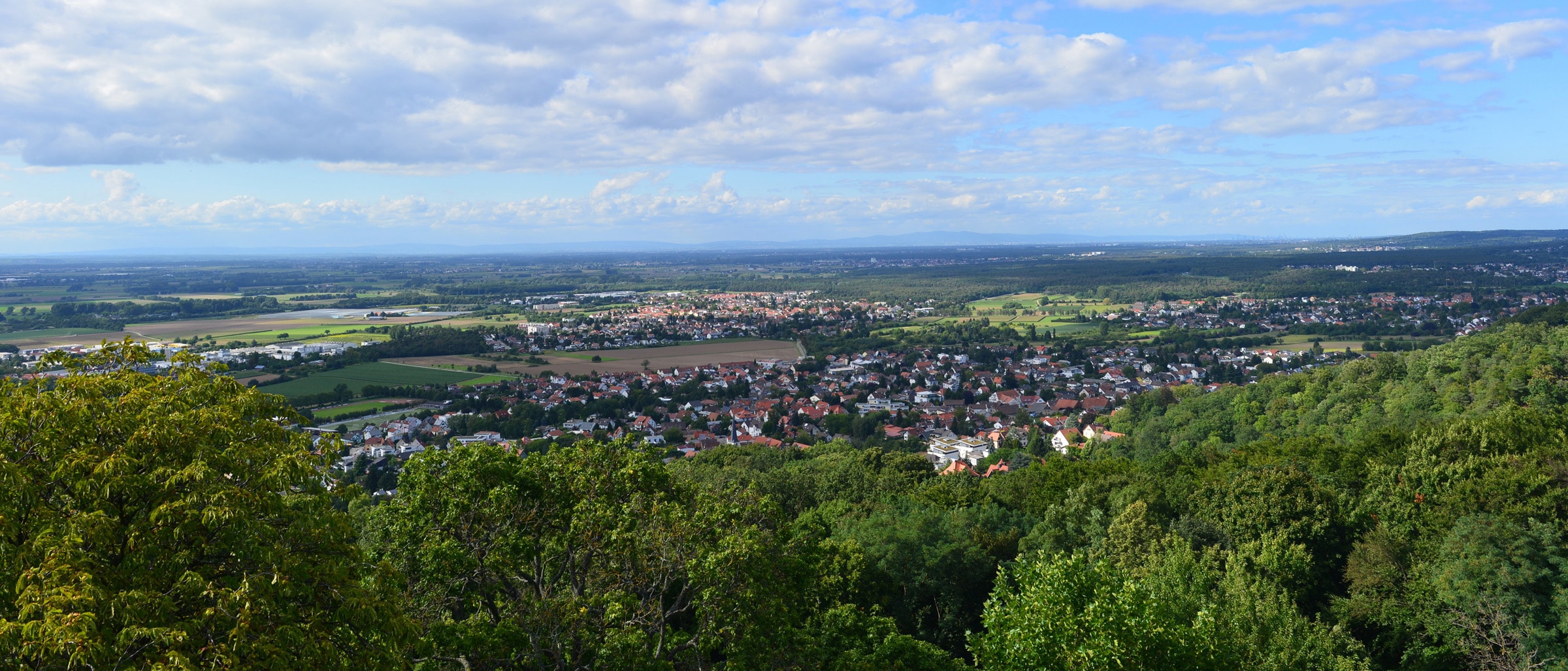 Alnatura Alsbach: Blick über Alsbach