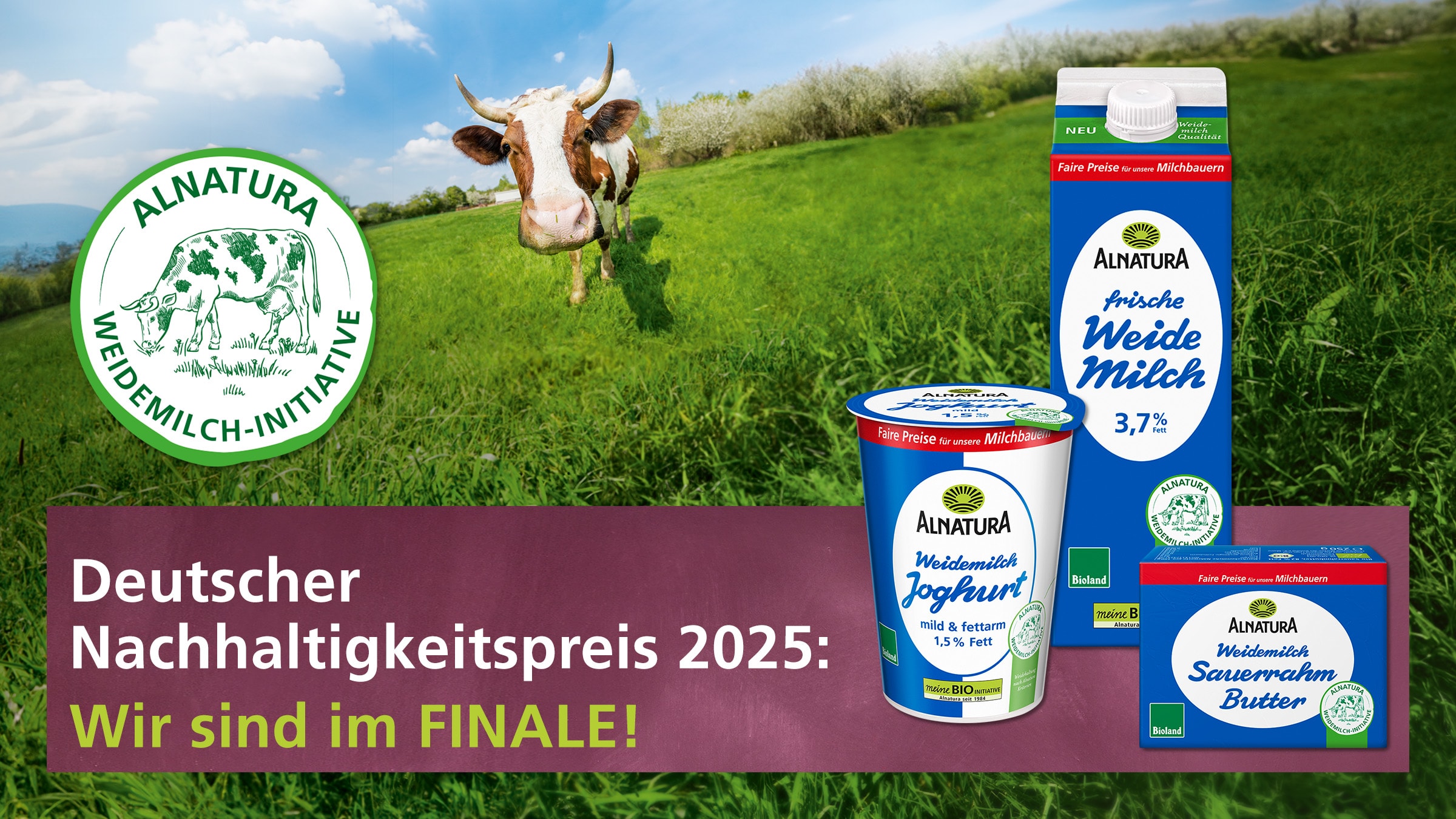 Im Weitwinkel fotografierte Kuh auf einer Weide, daneben drei Alnatura Weidemilch-Produkte und Text "Deutscher Nachhaltigkeitspreis 2025: Wir sind im FINALE!"