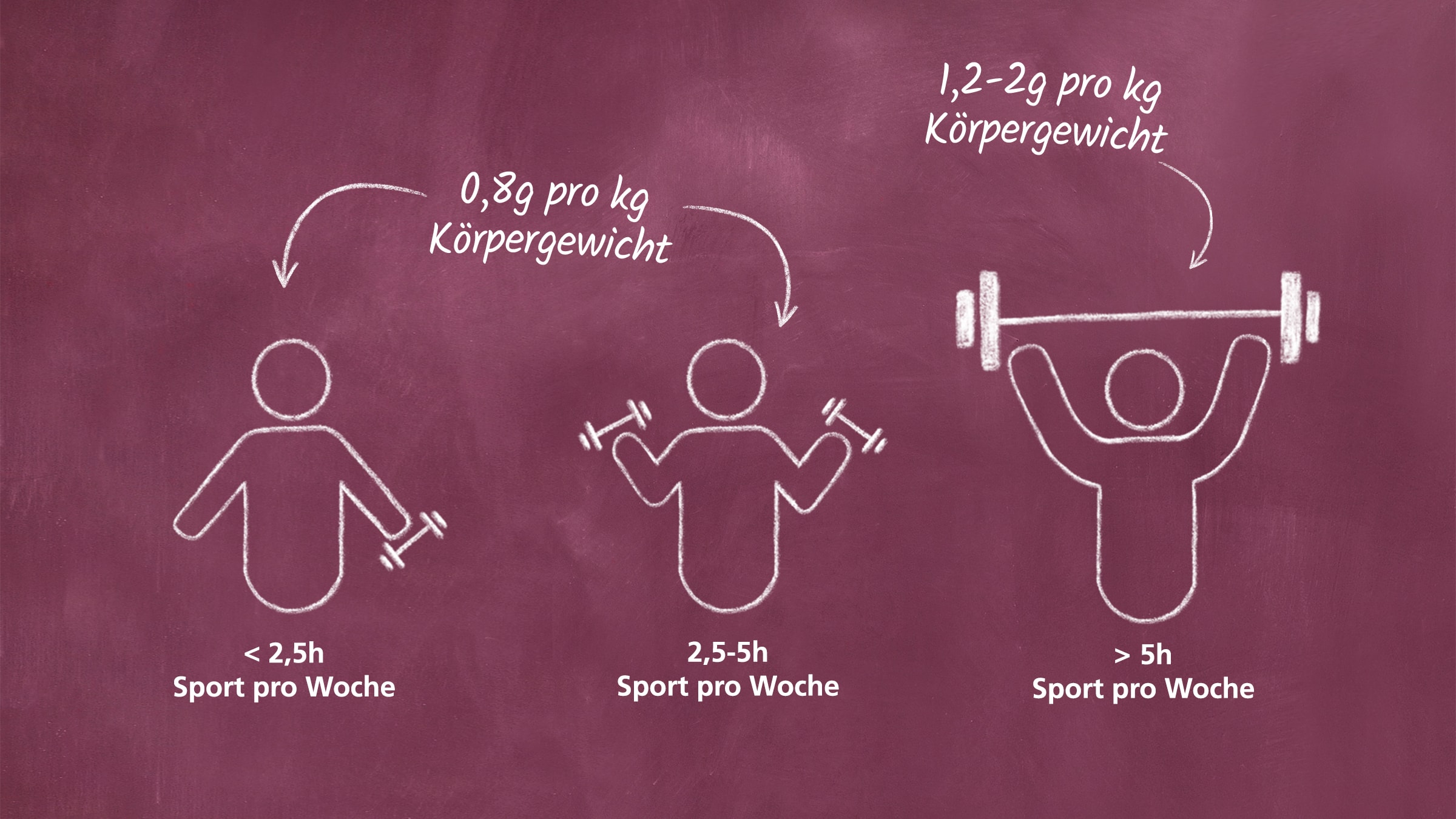 Proteinbedarf bei Sport