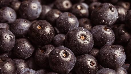 Superfood Acaibeere und Aciapulver für Acaibowls