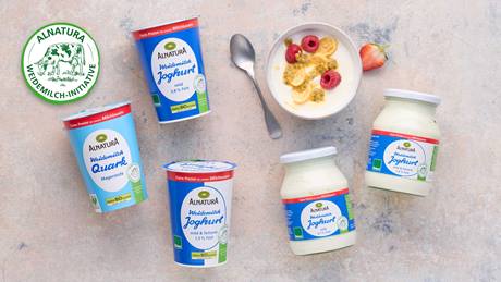 Das Bild zeigt verschiedene Produkte der Marke Alnatura: Joghurt (mild, 3,8% Fett; mild & fettarm, 1,5% Fett) und Magerquark.  Die Produkte sind auf einem hellen Untergrund arrangiert, neben einer Schale Joghurt mit Früchten (Himbeeren, Banane, Passionsfrucht) und einem Löffel.  Im Hintergrund ist ein Logo der "Alnatura Weidemilch-Initiative" zu sehen, welches auf faire Preise für Milchbauern hinweist.  Das Bild wirkt werblich und soll die Produkte und die Initiative präsentieren.