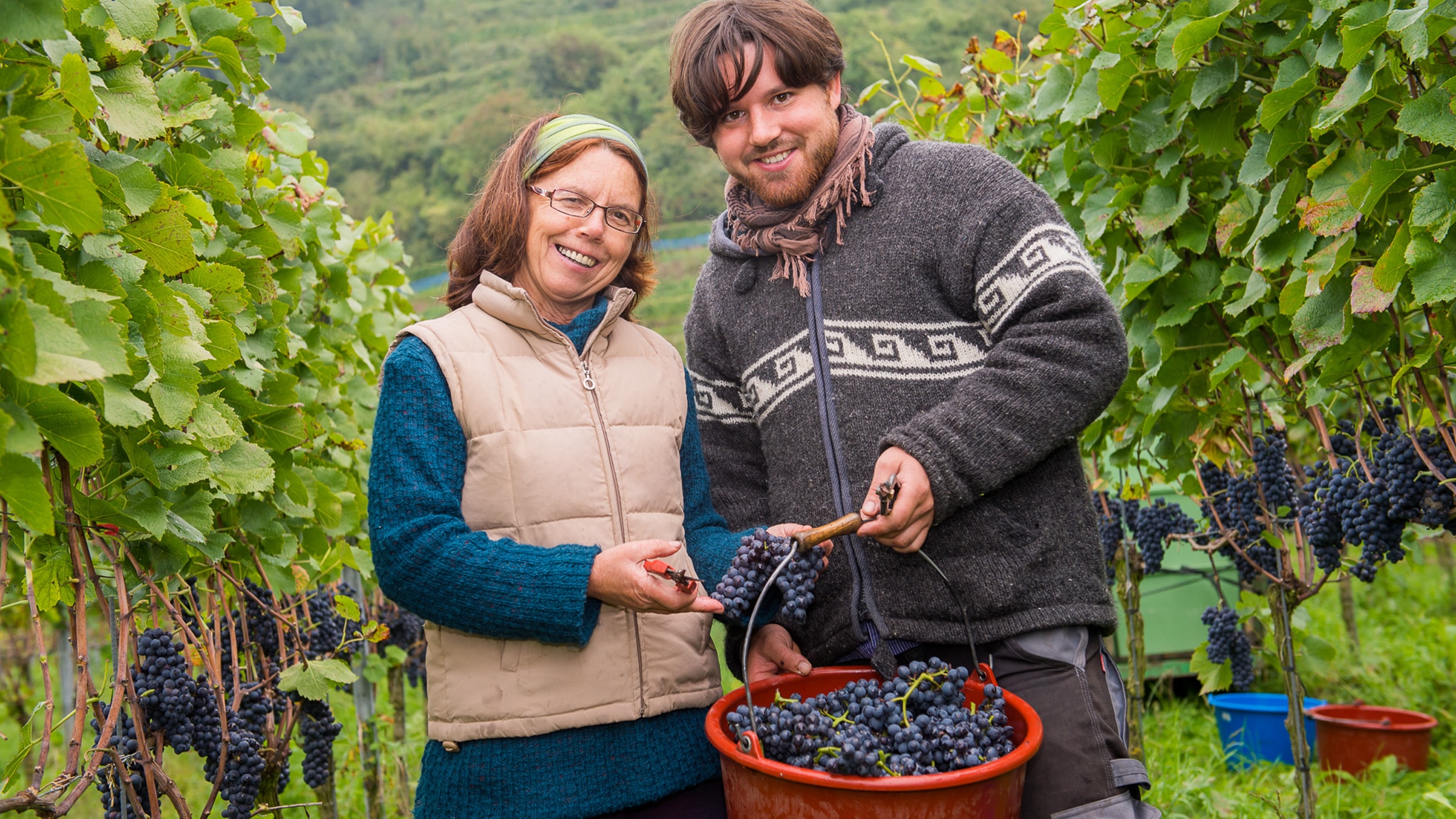 Weingut Pix Winzer mit geernteten Trauben